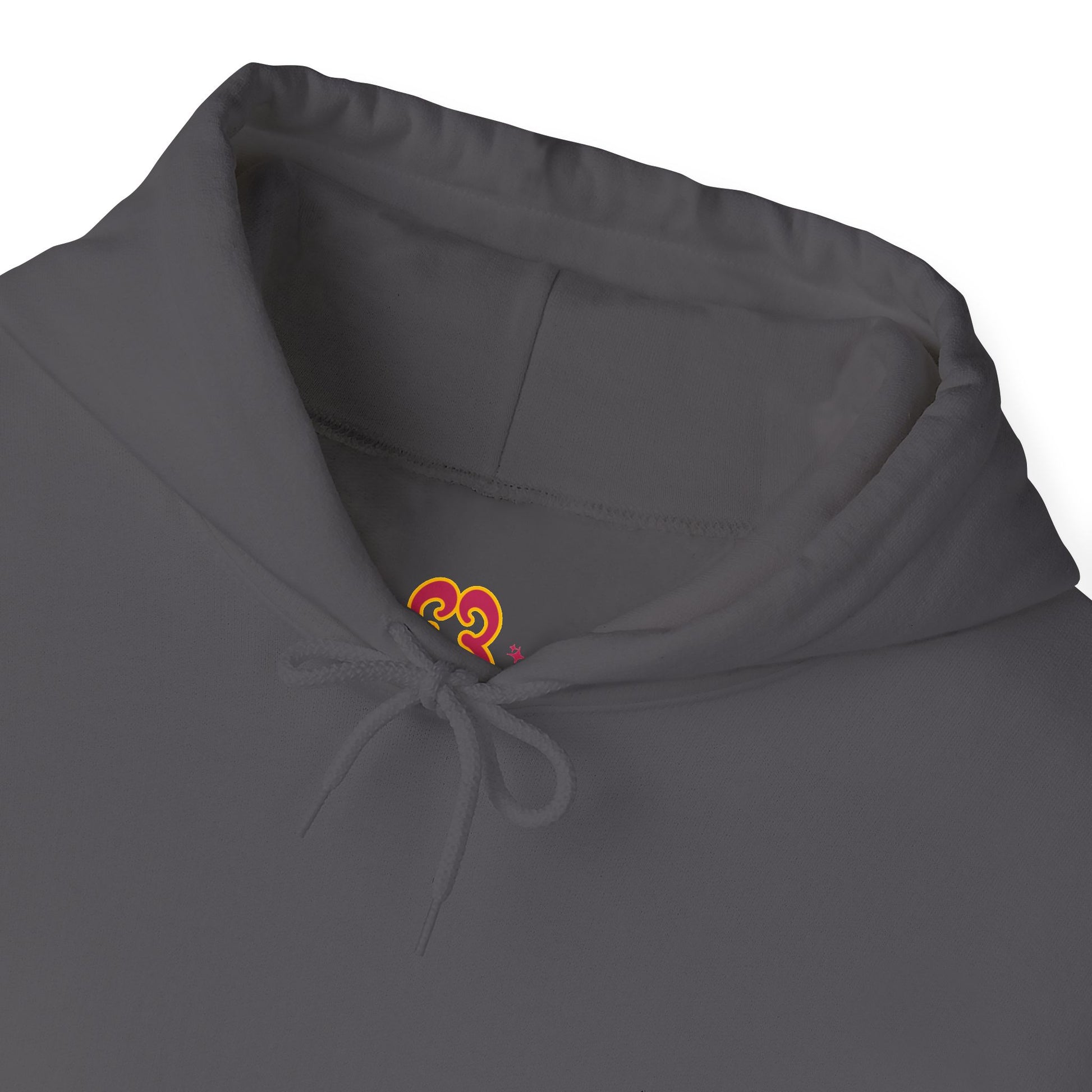 Charcoal gray hoodie close-up of hood drawstrings with colorful “Slut” script logo