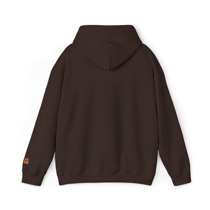 Brown pullover hoodie sweatshirt with adjustable hood and embroidered floral detail